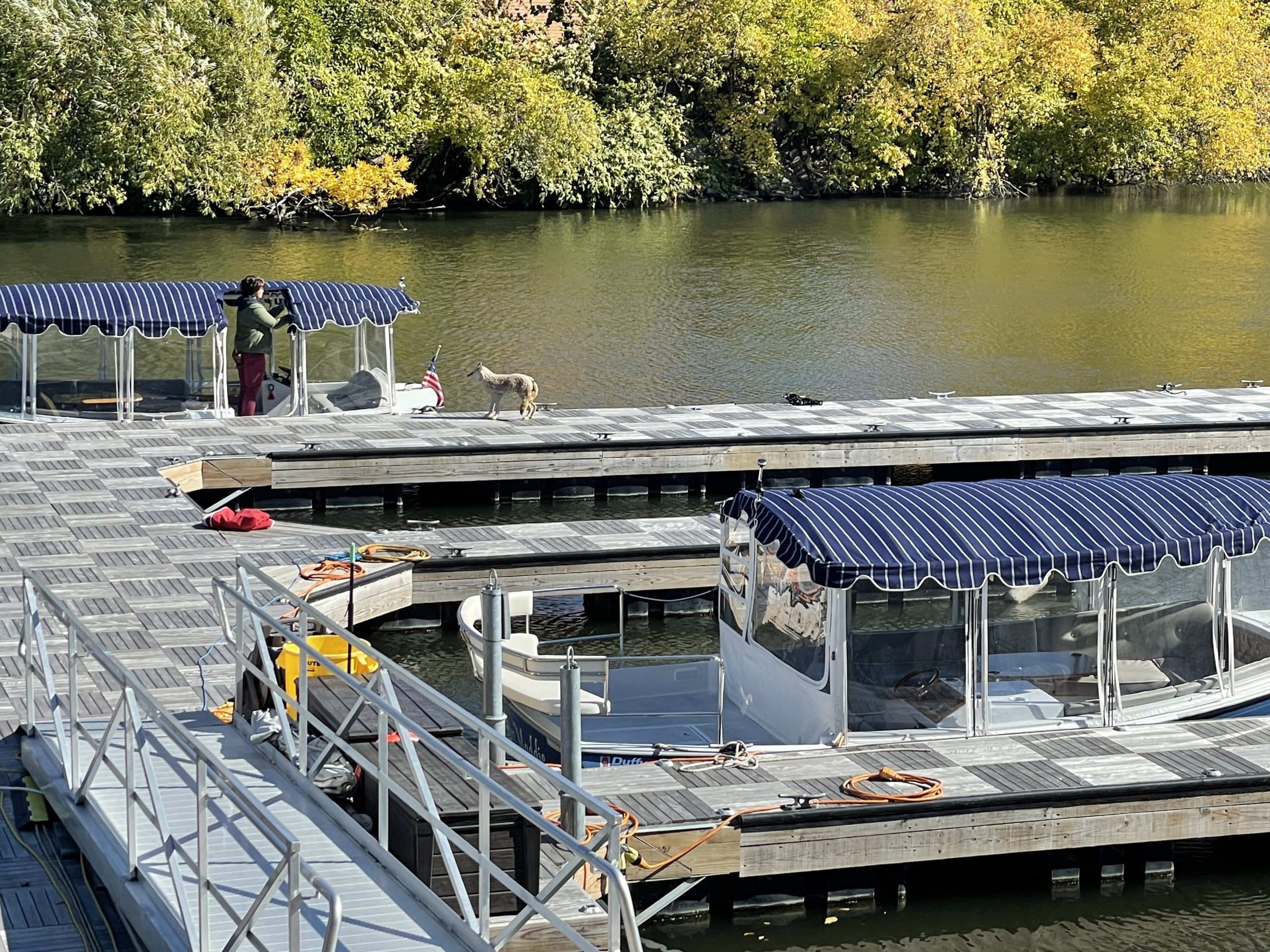 Rockwell on the River